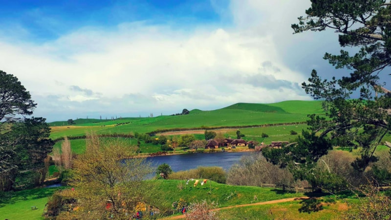 Join us for an affordable, small group day tour to the famous Hobbiton movie set and discover the scenes known across the world as pure middle earth. 